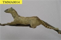 Small Chinese Civet Collection Image, Figure 4, Total 11 Figures